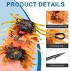 XPEX Pack of 3 Simulation Crab Bait, Crab Sharp Hook