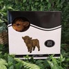 Vivid Arts - Highland Cattle Calf - PP-HLCF-F