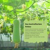 Esponja natural de lufa para cuerpo Strauss Home (2 unidades)