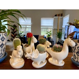 Ruoxian 4pcs Dinosaur Shaped Planter Small Succulent Pot Small Succulent Pots with Drainage, Ceramic Dinosaur Planter, Indoor Plant Container Planter with Drainage Hole Home Office Desk Garden