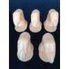 Beauticom® Nail Art Practice Fingers (With Fake Nail Tip Attached)