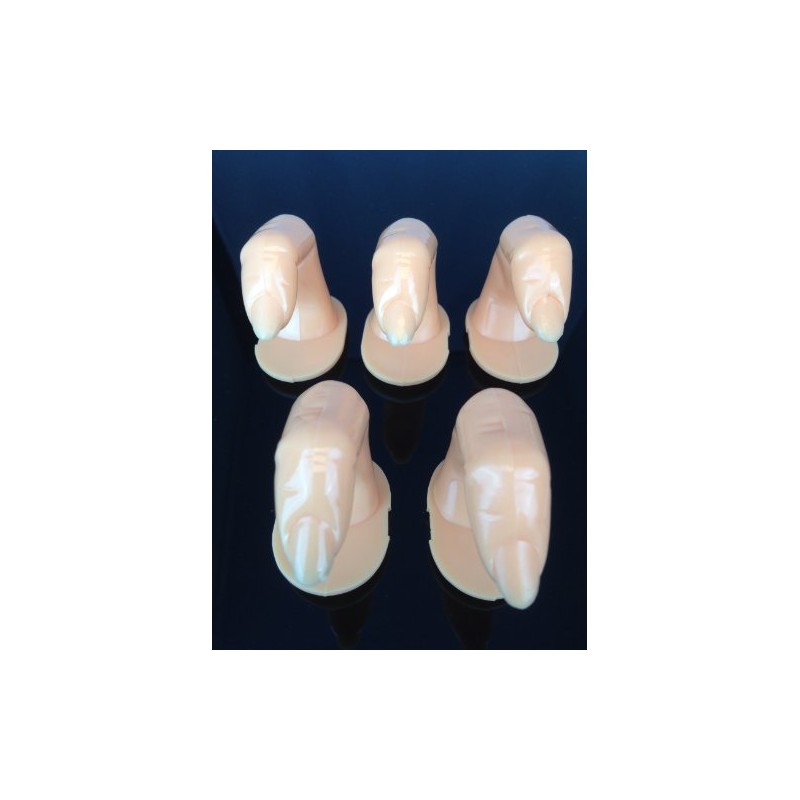 Beauticom® Nail Art Practice Fingers (With Fake Nail Tip Attached)