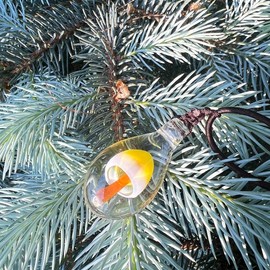 HANDMADE Glassart original design various shape mushroom pendant - unique design nature loved mushroom inside pendant - Color: Orange