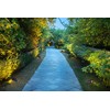 Nuvo SF76/646 One-Light Halogen Landscape Floodlight, Dark Bronze, 6.25-Inches