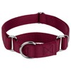 Country Brook Design | Martingale Heavyduty Nylon Dog Collar -