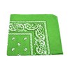 LIME GREEN bandana BLACK WHITE PAISLEY border