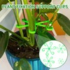 Plant Support Shrub Holder Plant Holder Set of 12 -