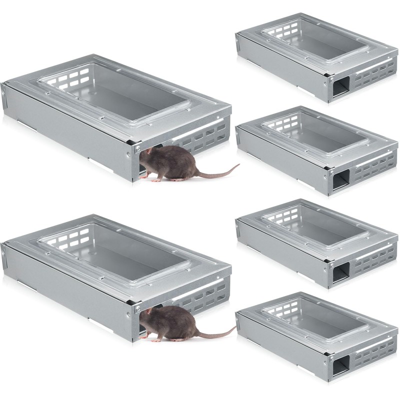 Qualirey 8 Pack Multi Catch Mice Trap Clear Top Humanized