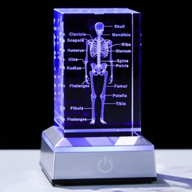 Enjinkail 3D Crystal Human Skeleton Anatomy Model Medical Decor Gifts for Doctor, Laser Etched Science Biology Figurine Paperweight Psychology Graduation Gifts for Medical Students with LED Base