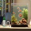 Aquatic CO2 Glass Drop Checker,Fish Tank Test CO2 Kit,Transparent CO2