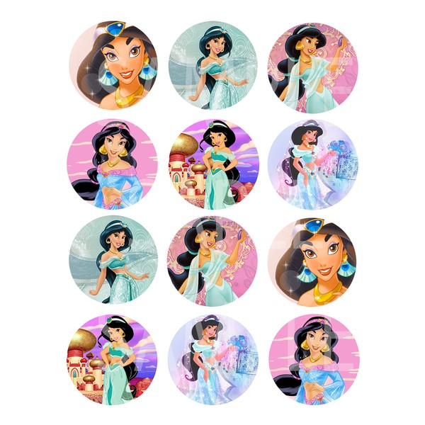 Princess Jasmine Stickers, Large 2.5” Round Circle DIY Stickers to Place onto Party Favor Bags, Cards, Boxes or Containers -12 pcs Alladin Princess Jasmine Jafar Genie Magic Lamp Animated Movie