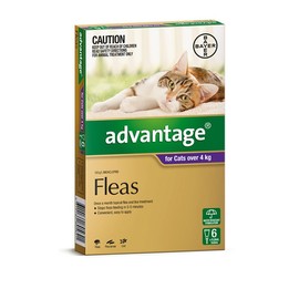 Advantage For Large Cats (Over 4kg) - 6 Pack