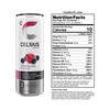CELSIUS Essential Energy Drink 12 Fl Oz, Sparkling Wild Berry