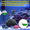 Begpoee Pack of 2 CO2 Glass Aquarium Monitor, CO2 Tester