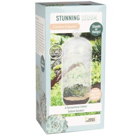 Unique Gardener Sedum Succulent Carefree Capsule Terrarium Kit - DIY Indoor Hanging or Standing Garden - Easy-to-Grow Succulents with Minimal Watering - All-Inclusive Starter Set (Stunning Sedum)