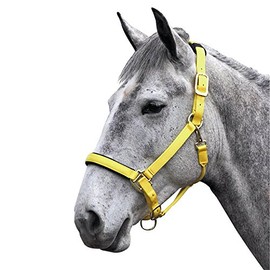 Shires Topaz Nylon Headcollar-Yellow Full
