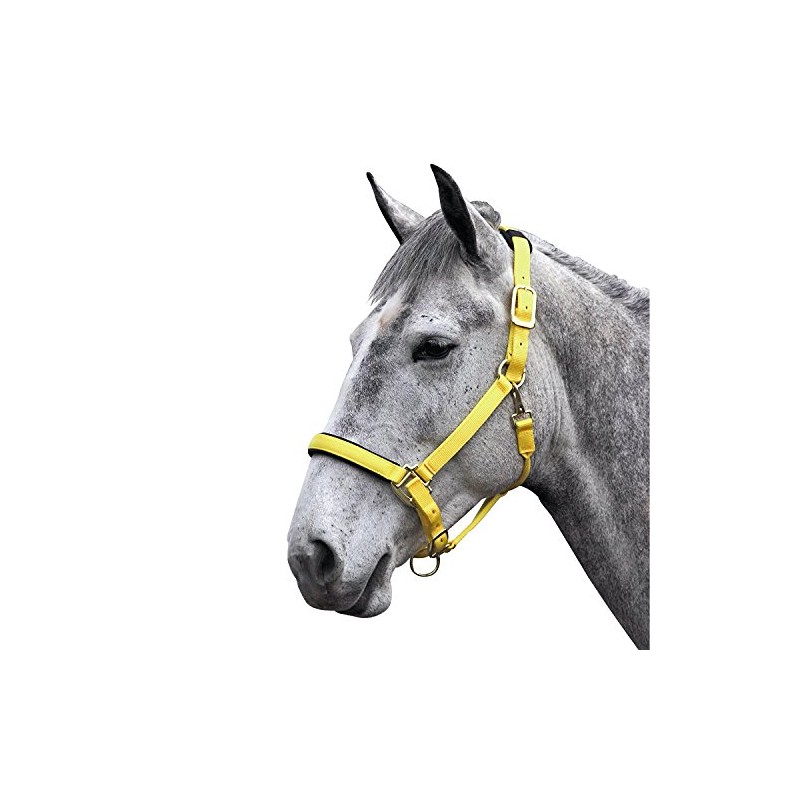 Shires Topaz Nylon Headcollar-Yellow Full