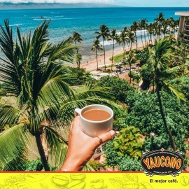 Yaucono Instant Coffee, Medium Roast Arabica, Glass Jar, 8 Ounce (Pack of 2)