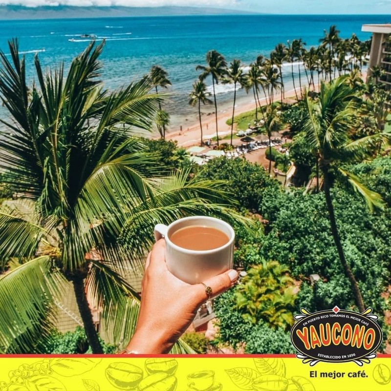 Yaucono Instant Coffee, Medium Roast Arabica, Glass Jar, 8 Ounce