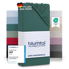 Blumtal® Baumwolle Spannbettlaken 200x200cm Basics Jersey - Bettbezug 200x200 cm - Oeko-TEX zertifiziertes Spannbetttuch 200x200cm - Matratzenbezug 200x200cm - Bettbezug - Leintuch - Silver Pine