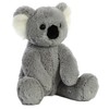 Aurora® Cuddly Koala Stuffed Animal - Cozy Comfort - Endless