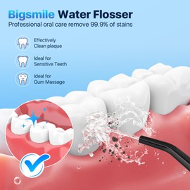 Bigsmile Wasserzahnseide, tragbarer Mundreiniger, Für empfindliche Zähne und Zahnspangenreiniger, Wasserdichtes IPX7-Design, 200 ml Tank, Effektiv den Mund sauber und gesund halten（Panda）