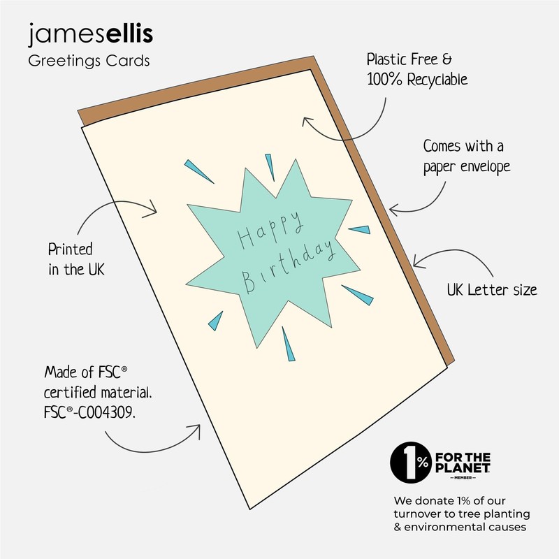 James Ellis Son Birthday Card (Red Plane)