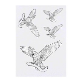 4 x 'Peregrine Falcon' Temporary Tattoos - Water Resistant, Skin-Safe, Non-Toxic Transfers, Mixed Sizes (TO00043999)