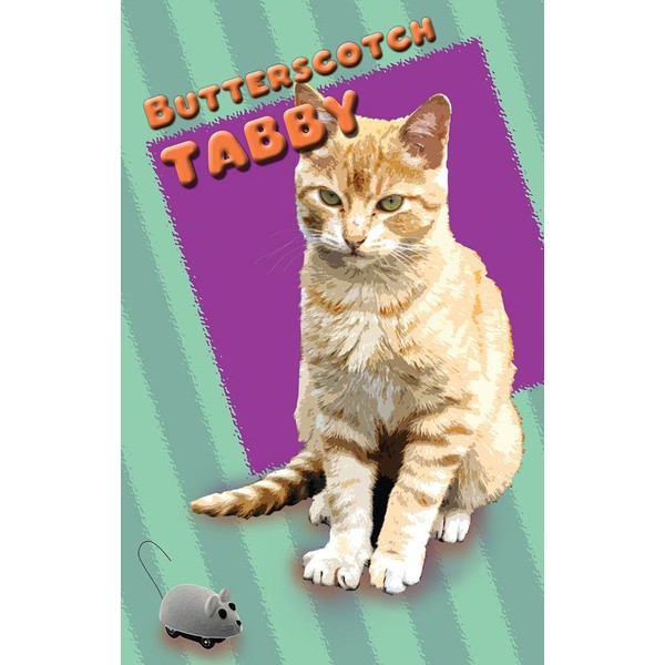 Seek Publishing Butterscotch Tabby - Pet Kardlet (PKBTTR)