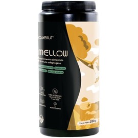 QUENUT Mezcla de Hongos Adaptógenos en Polvo Mushroom Blend Mellow 350g 50 porciones Apoyo para el Estrés, Sueño y Relajación Extracto de Melena de León, Cordyceps, Chaga, Cacao Mexicano, Jengibre y Cúrcuma Sabor Matcha Latte