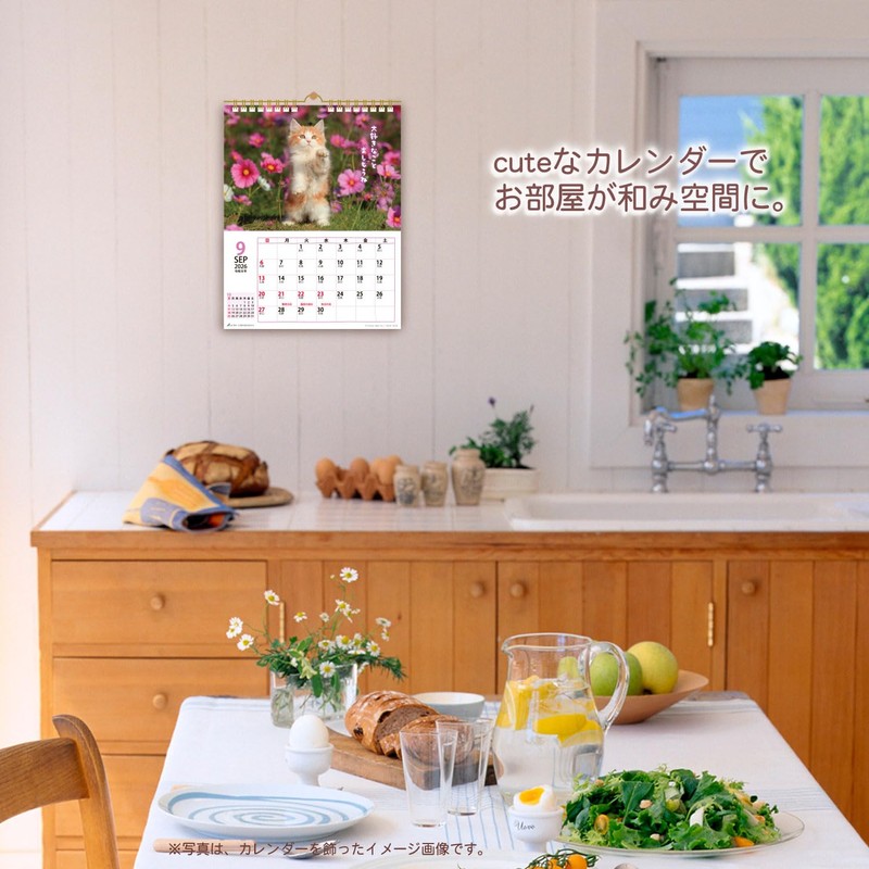 Active Corporation 2026 Wall Calendar CAT Monthly 26ACL-06, Starts January