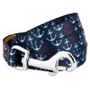 Country Brook Petz - Dog Leash - Summer Breeze Collection
