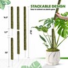 DUSPRO Stackable Mesh Moss Pole for Plants Monstera Potted Plant
