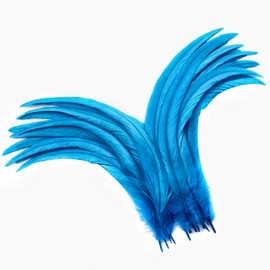 Holmgren Turquoise Rooster Tail Feathers - 60pcs 12-14inch Natural Long Rooster Tail Feathers Bulk for DIY Crafts Hats Costume and Holiday Themed Party Decoration (Turquoise)