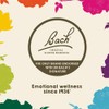 Bach Original Flower Remedy Dropper, 20 ml, Mimulus Flower Essence