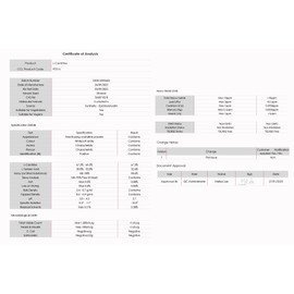 L-CARNITINE - Forest Vitamin - Strong L-Carnitine 1000mg - 100 Kapseln - L-Carnitin Tartrat - Gesundheit & Schönheit