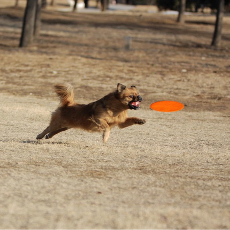 DOGCOME 3 Pack Soft Rubber Dog Flying Discs for Small