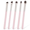 Eyeshadow Brush Set, 5Pcs Eye Makeup Brushes with Blending &
