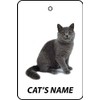 Personalisierter Exotic Shorthair Katzenname Auto Lufterfrischer