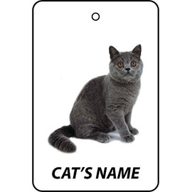 Personalisierter Exotic Shorthair Katzenname Auto Lufterfrischer
