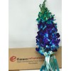 eflowerwholesale - Premium Cut Blue Orchids (10 stems Orchid with