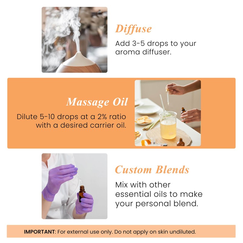 Handcraft Blends Orange Essential Oil – 1 Fl Oz –