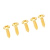 100PCS Guitar Pickguard Screws Metal Guard Plate Mounting Screw Electric