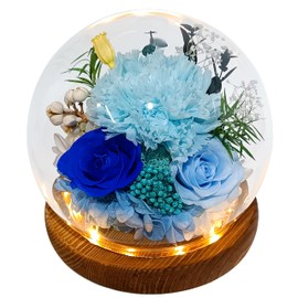 Valley of Rain & Forest Long-Lasting Real Flowers, Unique Floral Gift for You to Send Love for All Occasions, for Indoor Decoration (Light Blue Carnation, Blue Rose, Light Blue Rose)