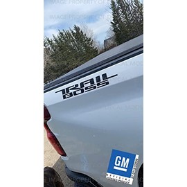 Decal Mods Trail Boss Replacement Decal Sticker for Chevy Silverado die-Cut (2019-2024) Bed Side 1500 2500 HD (Set of 2) Black Gloss - CB