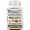 Natures Elements Chaga Mushroom – Pack of 3 – 10:1