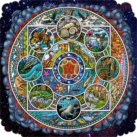 Wooden Jigsaw Puzzle for Adults - from The Tide Pools to The Stars - 503 Unique Wooden Pieces by Nautilus Puzzles. Made in The USA