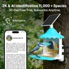 Birdsview Smart Bird Feeder with Solar-Powered 2K AI Camera for
