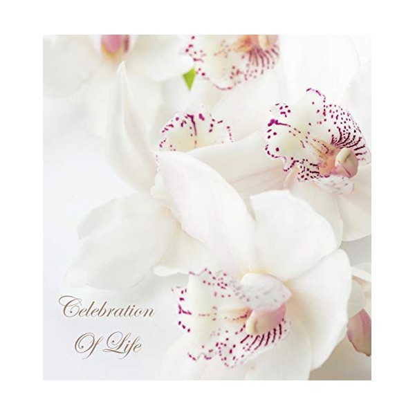 Celebration of Life, In Loving Memory Funeral Guest Book, Wake,