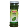 Ramdev Mint Chutney 220G